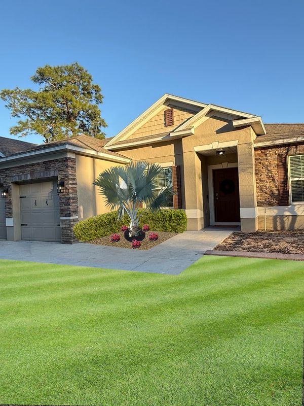 Sod Installation
