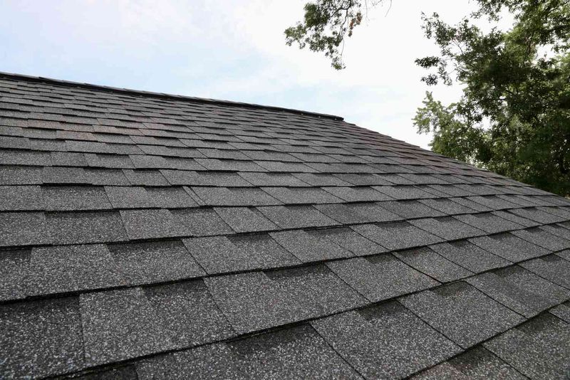 Roof Cleaning