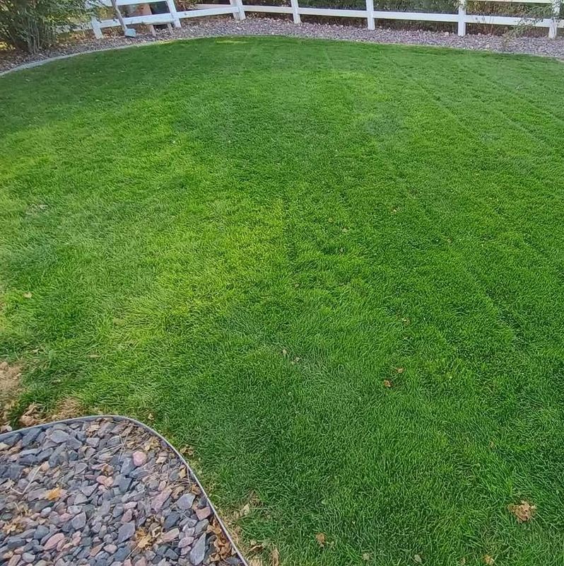 Lawn Maintenance