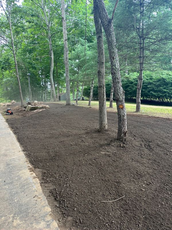 Yard Expansions