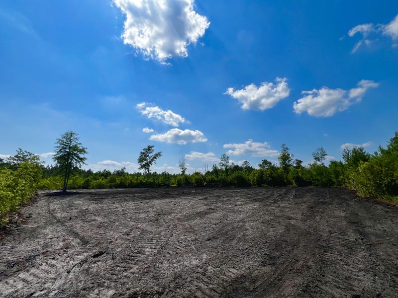 Land Clearing