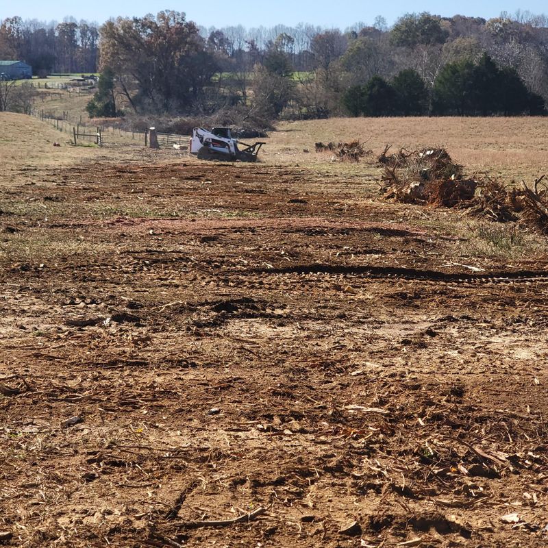 Land Clearing