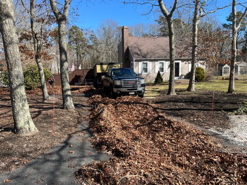 Fall CleanUp