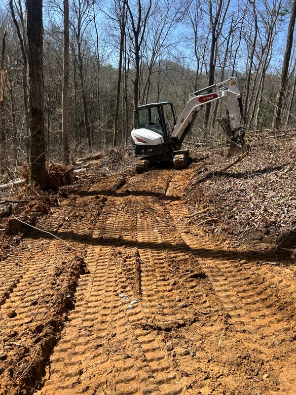 Land Clearing