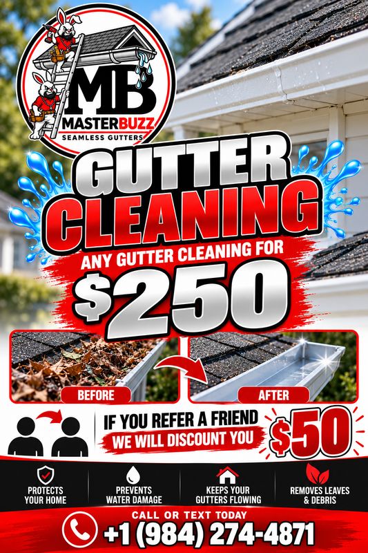 Gutter Cleaning