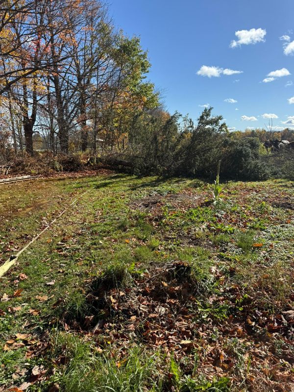 Fall Clean Up