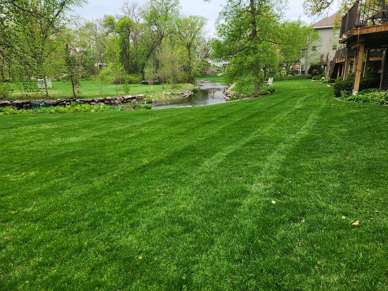 Mowing 