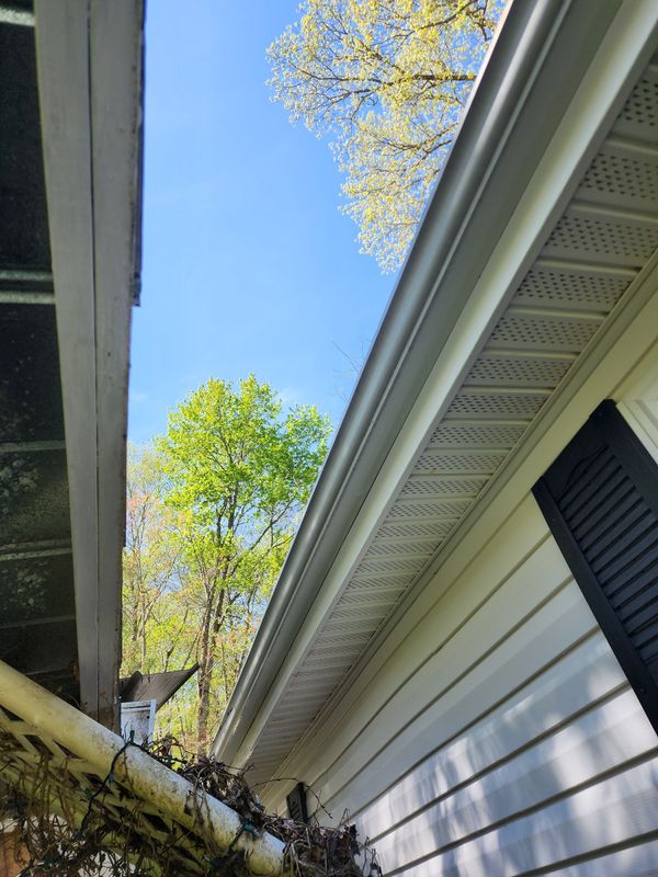 Gutter Cleaning