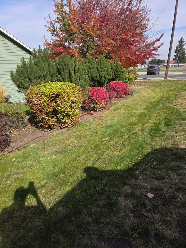 Trimming