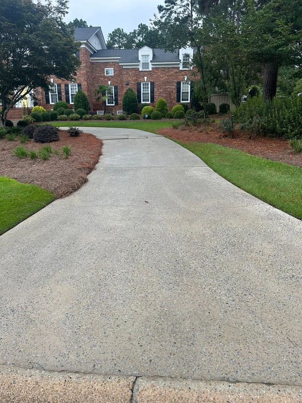 Pressure Washing