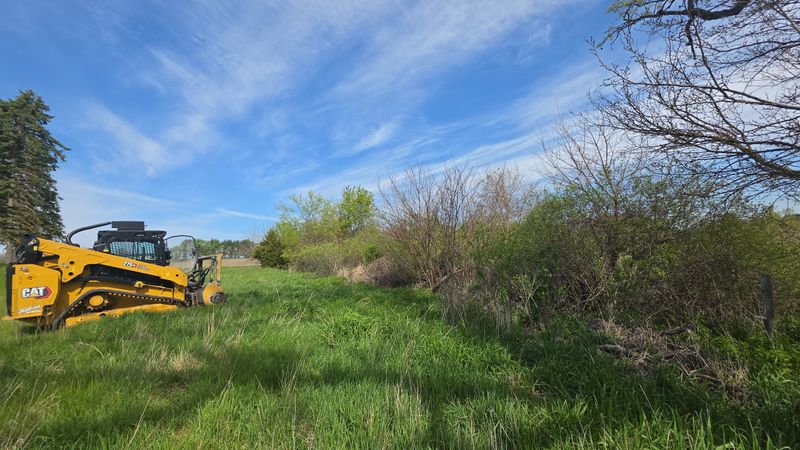 Forestry Mulching