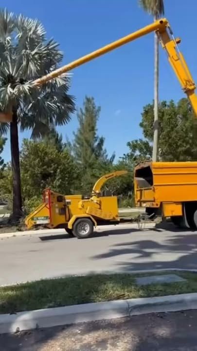 Tree Trimming