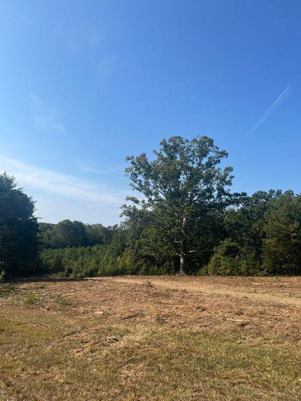 Brush cutting/clearing