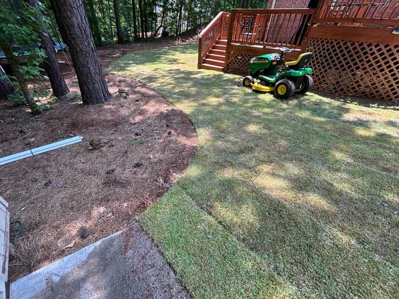 Lawn Maintenance