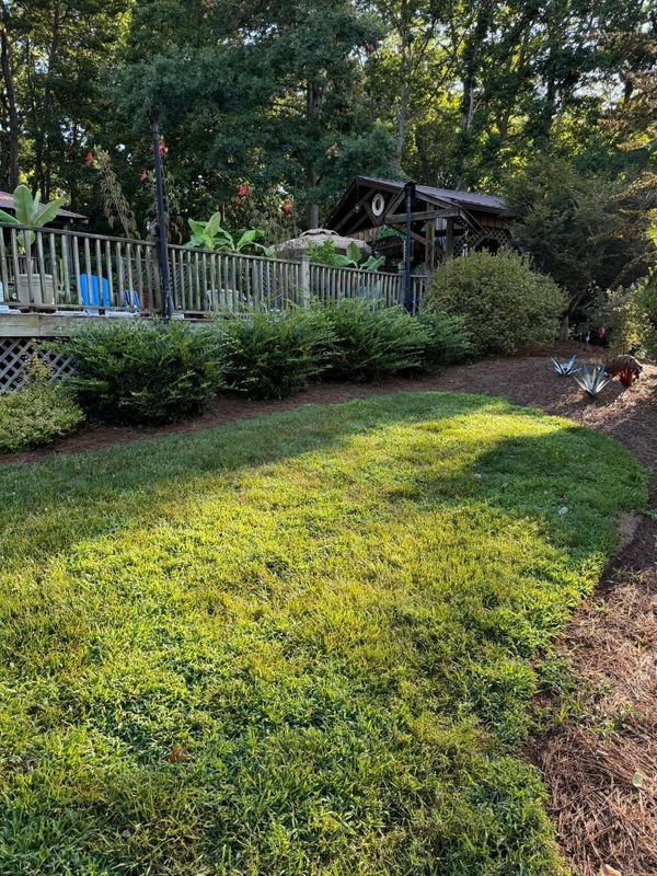 Shrub Trimming