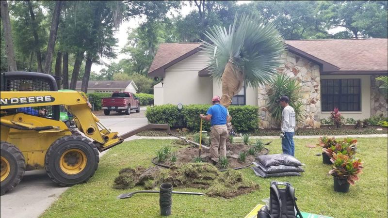 Palm Tree Installation