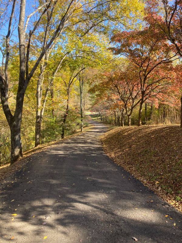 Road & Driveway Regrading