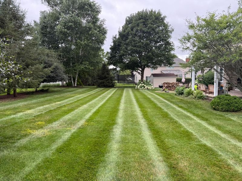 Lawn Maintenance