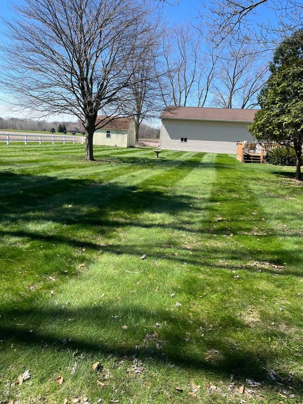 Lawn Maintenance