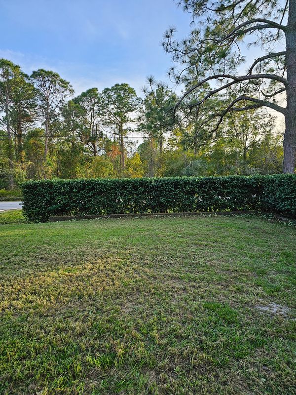 Lawn Care & Maintenance