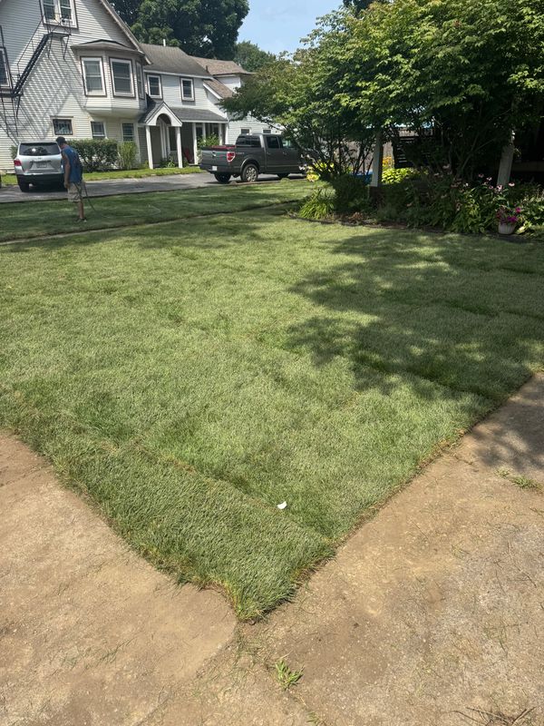 Sodding