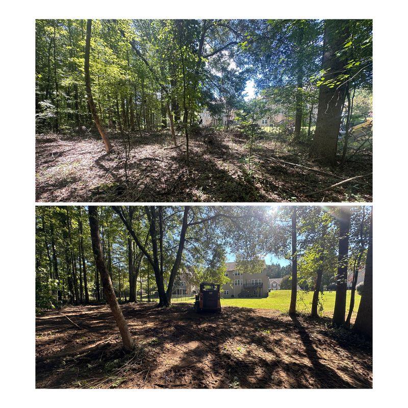 Brush Cutting & Cleanups