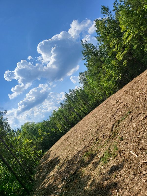 Forestry Mulching