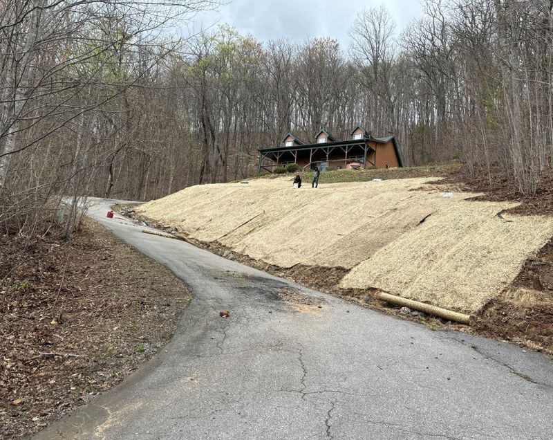 Turf Repair, Overseeding and Top Dressing