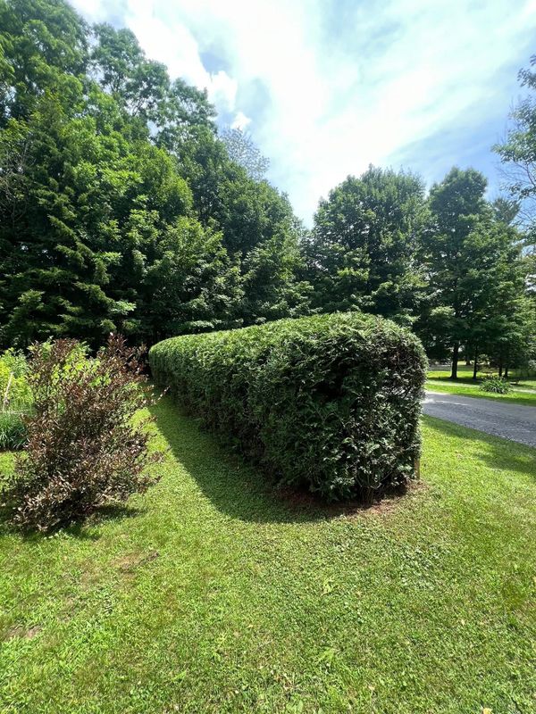 Hedge Trimming