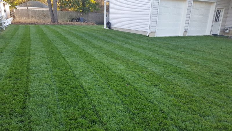 Revitalize Your Outdoor Space with Meticulous Mowing