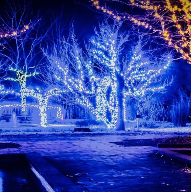 Holiday Lighting
