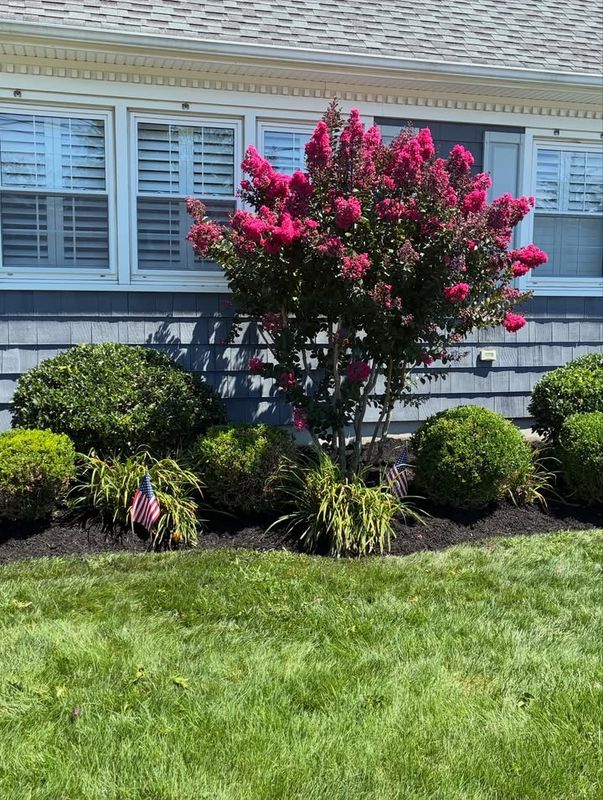 Lawn Maintenance