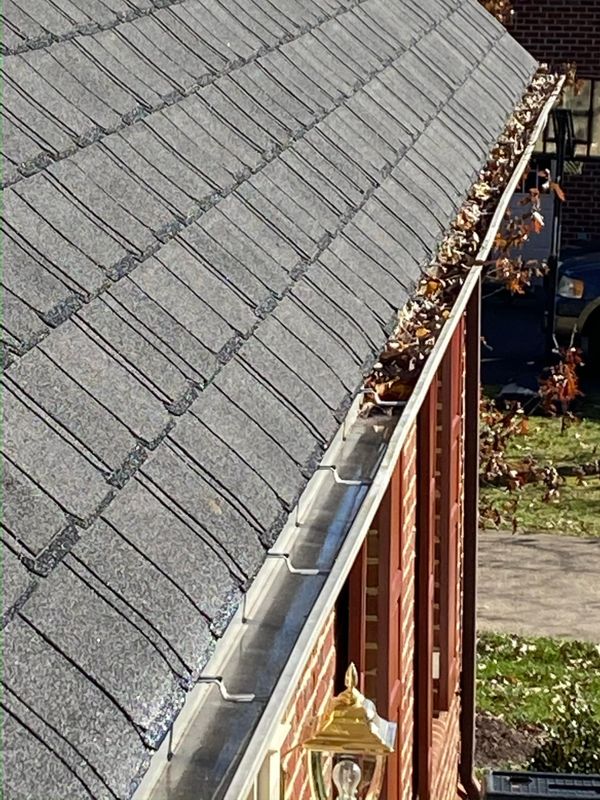 Gutter Cleaning