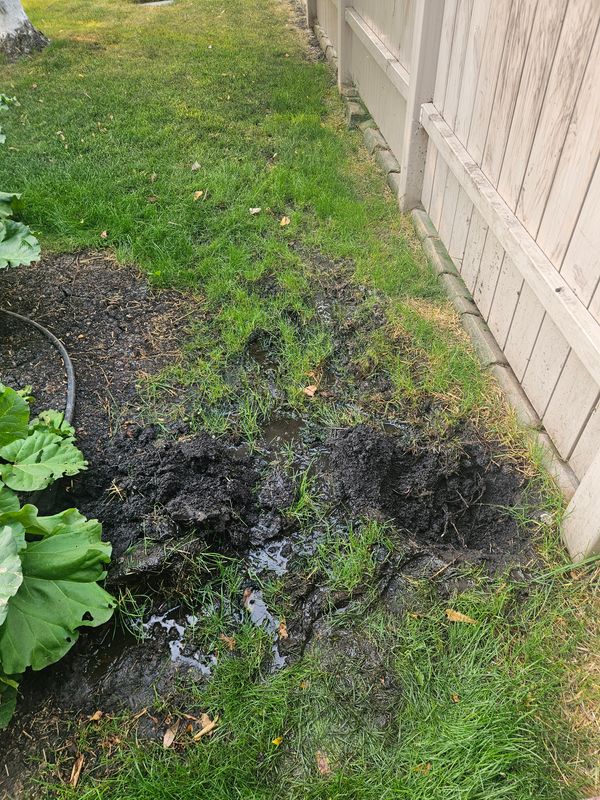 Irrigation System Repair