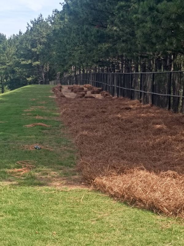 Pinestraw Installation