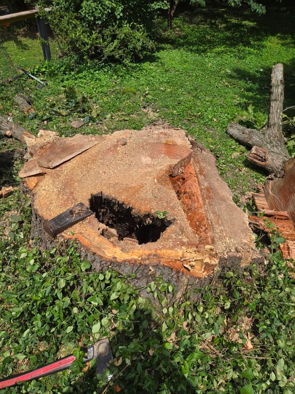 Stump Removal