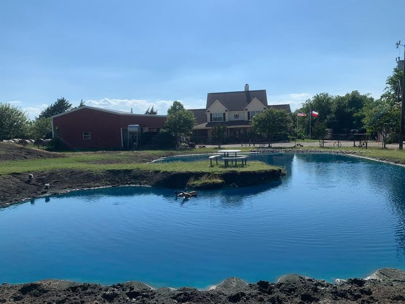 Pond Construction