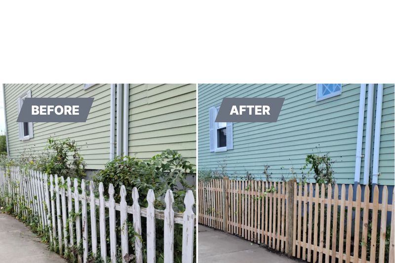 Before and After