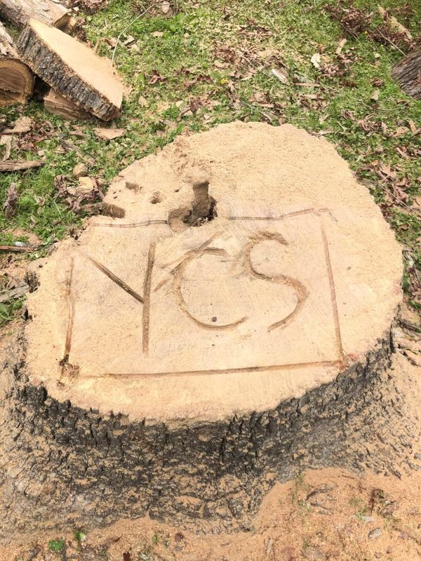 Tree Removal gallery