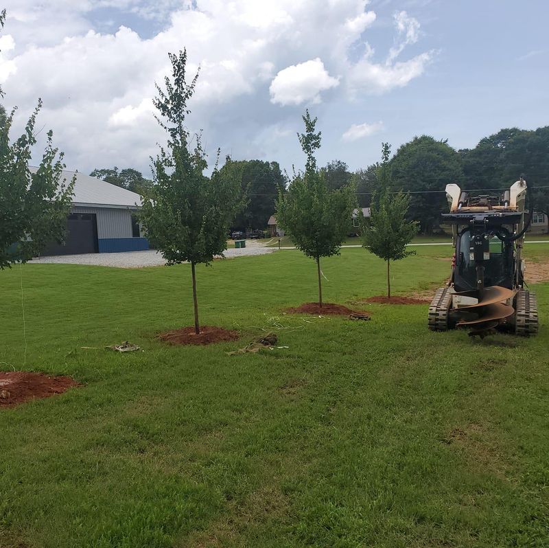 Landscaping