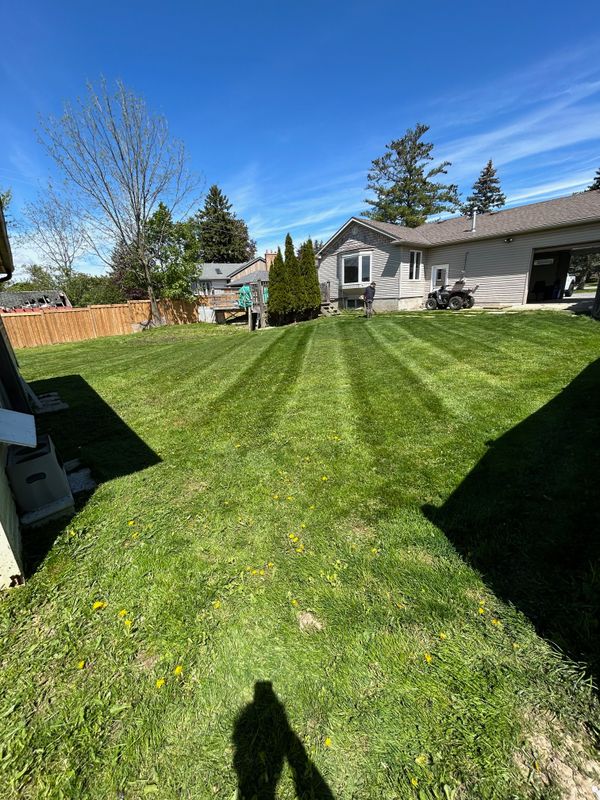 Lawn Mowing