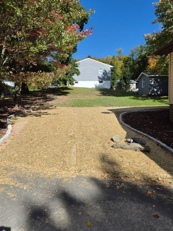 Landscape Design