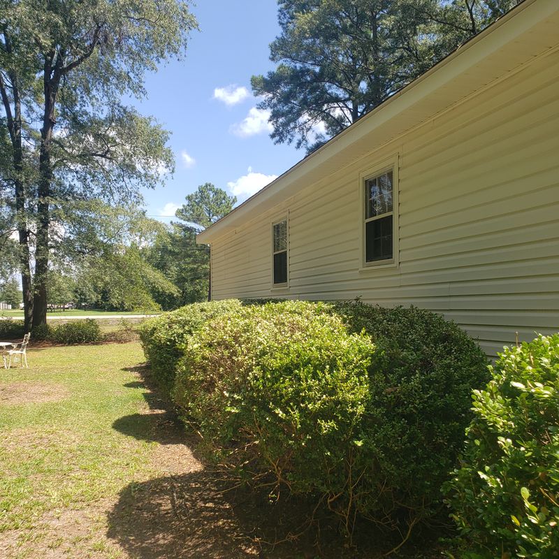 Revitalize Your Curb Appeal: Blinn's Expert Shrub Trimming Transformation
