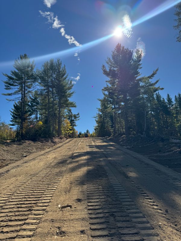 Land Clearing & Forestry Mulching