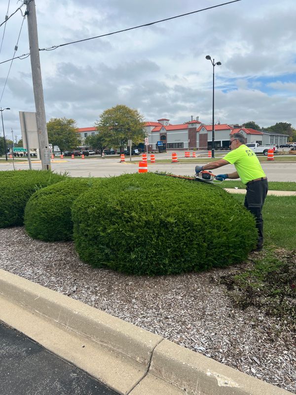 Commercial Landscaping