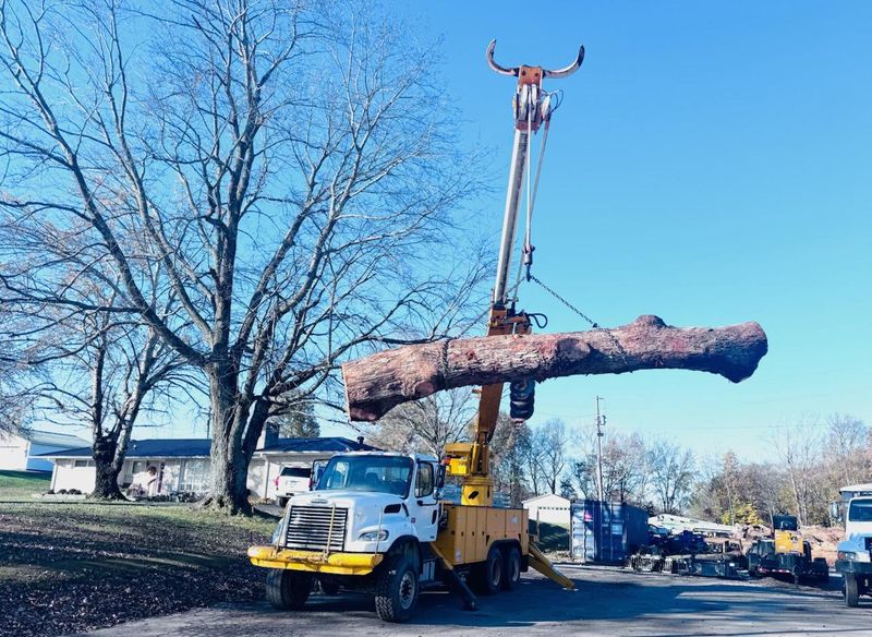 Tree Removal