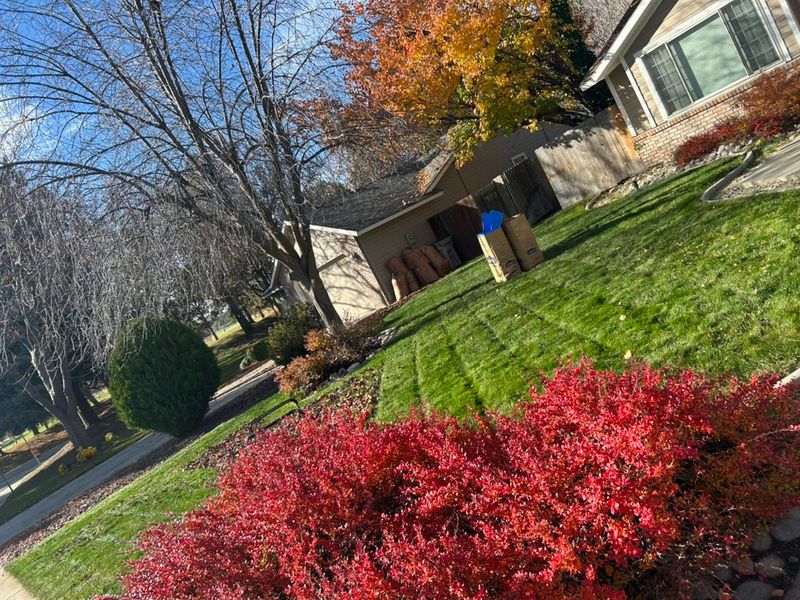 Lawn Mowing and Maintenance