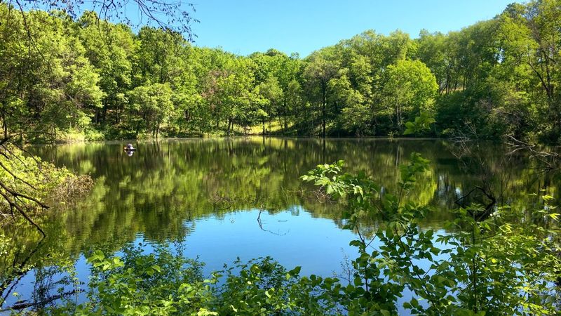 Pond Construction