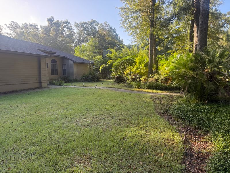 Landscape & Property Cleanup