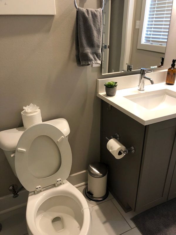 Bathroom Cleaning